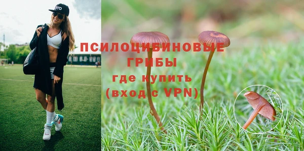амф Алексин