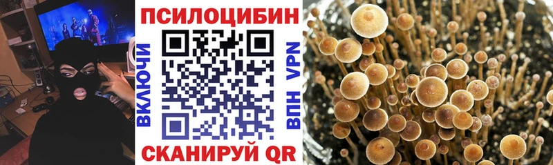 Галлюциногенные грибы Cubensis гидра как войти Алушта